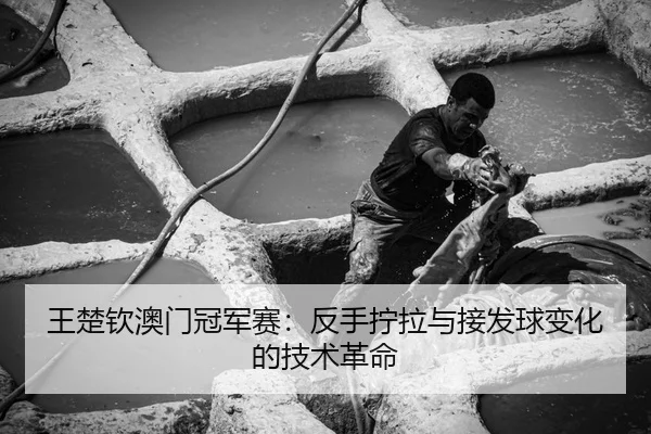 王楚钦澳门冠军赛：反手拧拉与接发球变化的技术革命